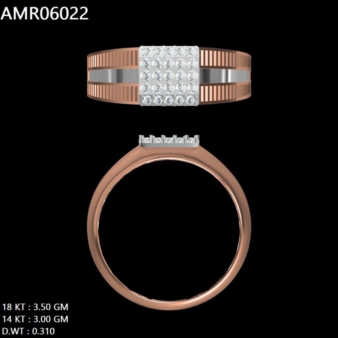 AMR06022