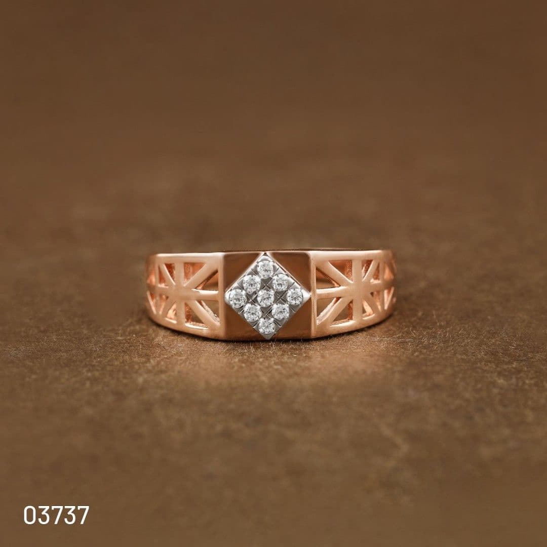 AMR03737