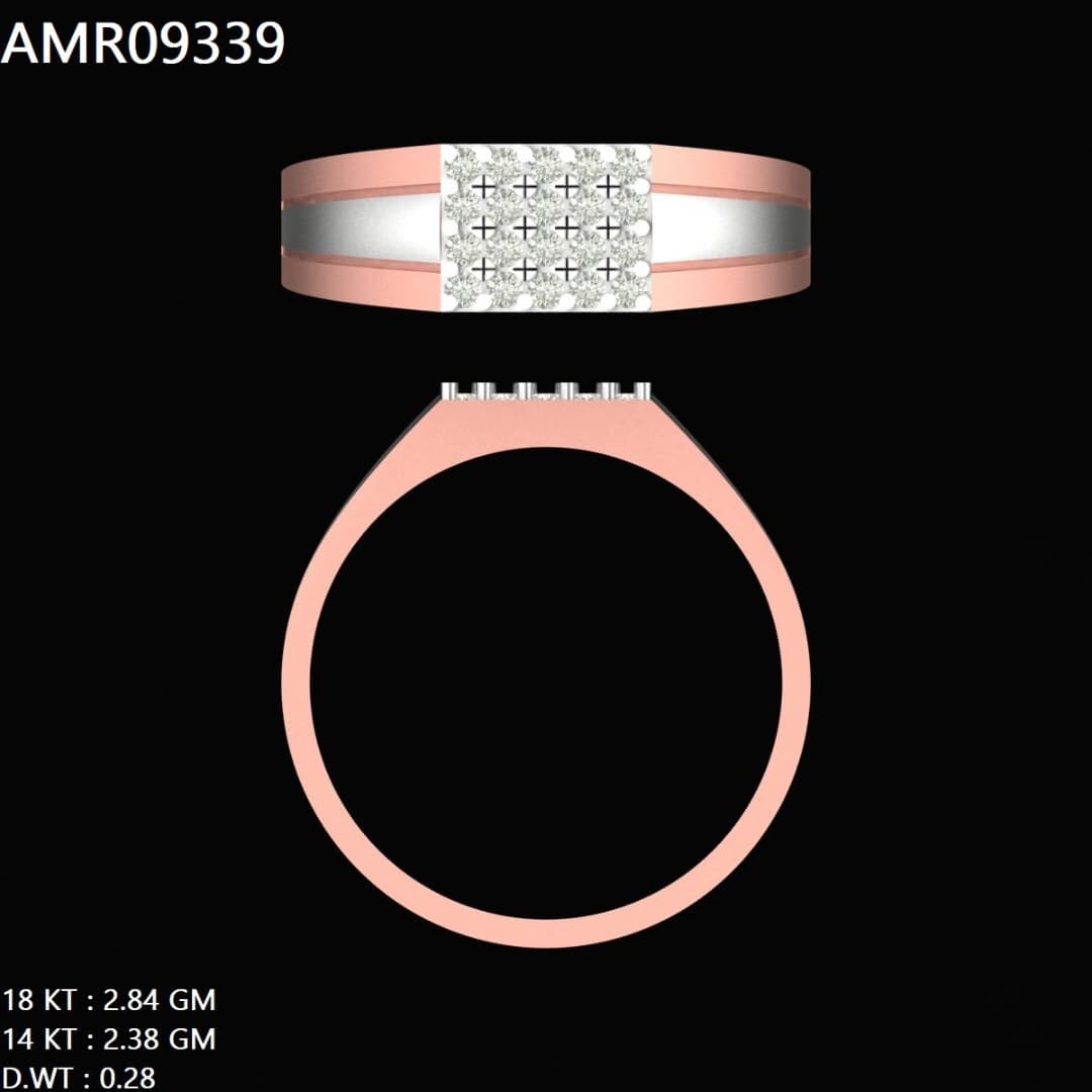 AMR09339